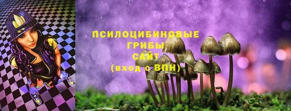 тгк Алексин