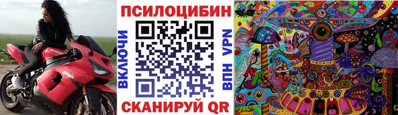 что такое   гидра зеркало  Галлюциногенные грибы мицелий  Новомосковск 